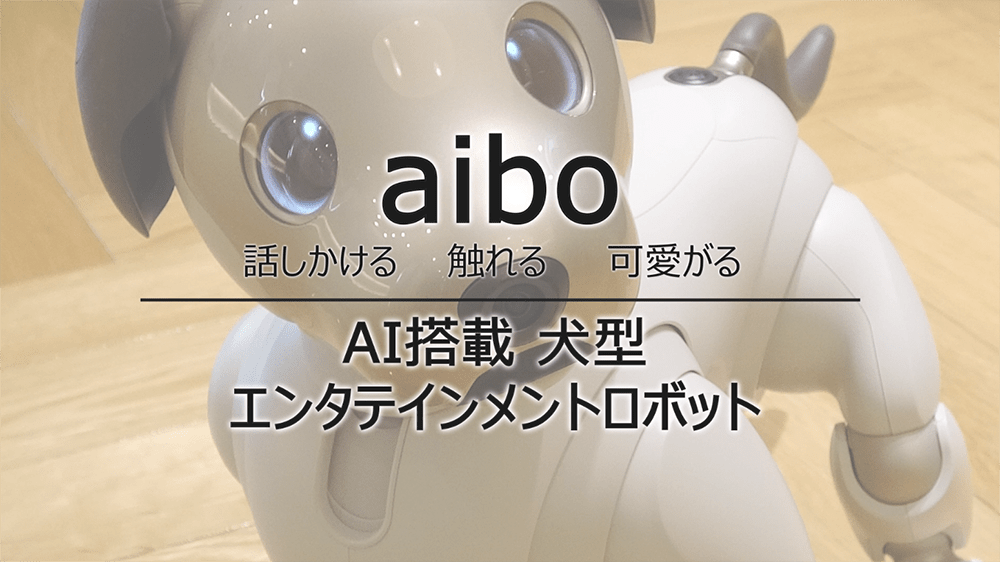 aibo,1枚目