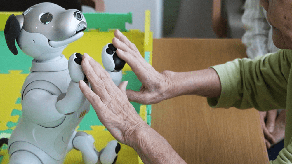 aibo,2枚目