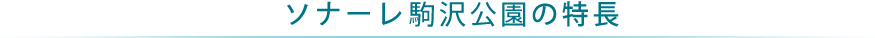 ソナーレ駒沢公園の特長