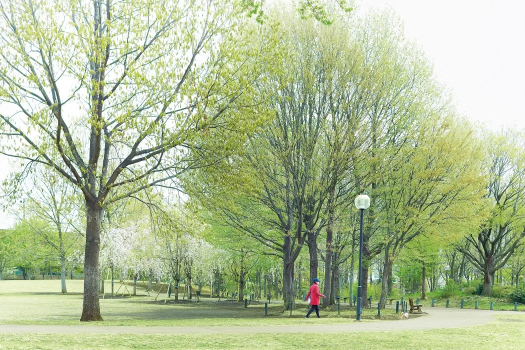 柏の宮公園