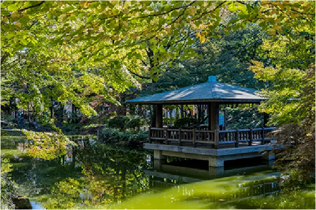杉並区立井草森公園