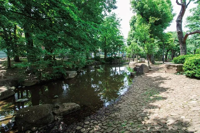 駒沢緑泉公園