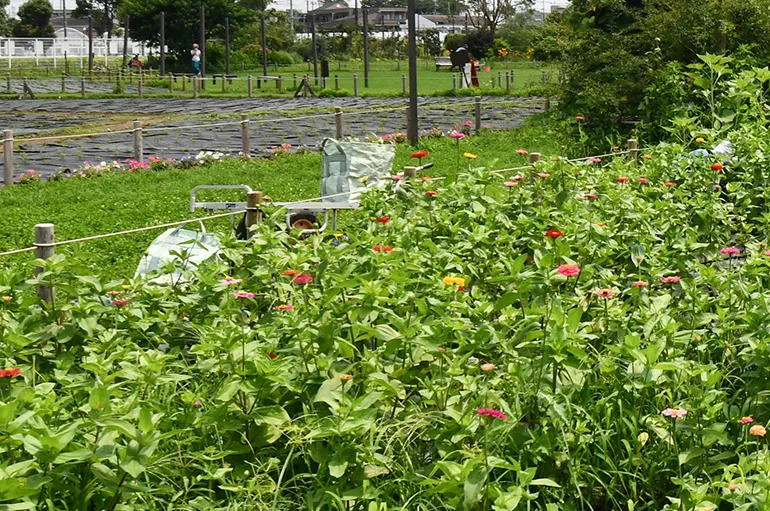 花と緑の広場