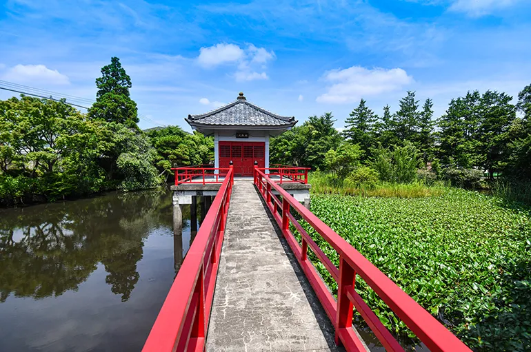 烏山の鴨池