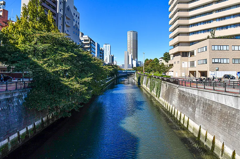 目黒川