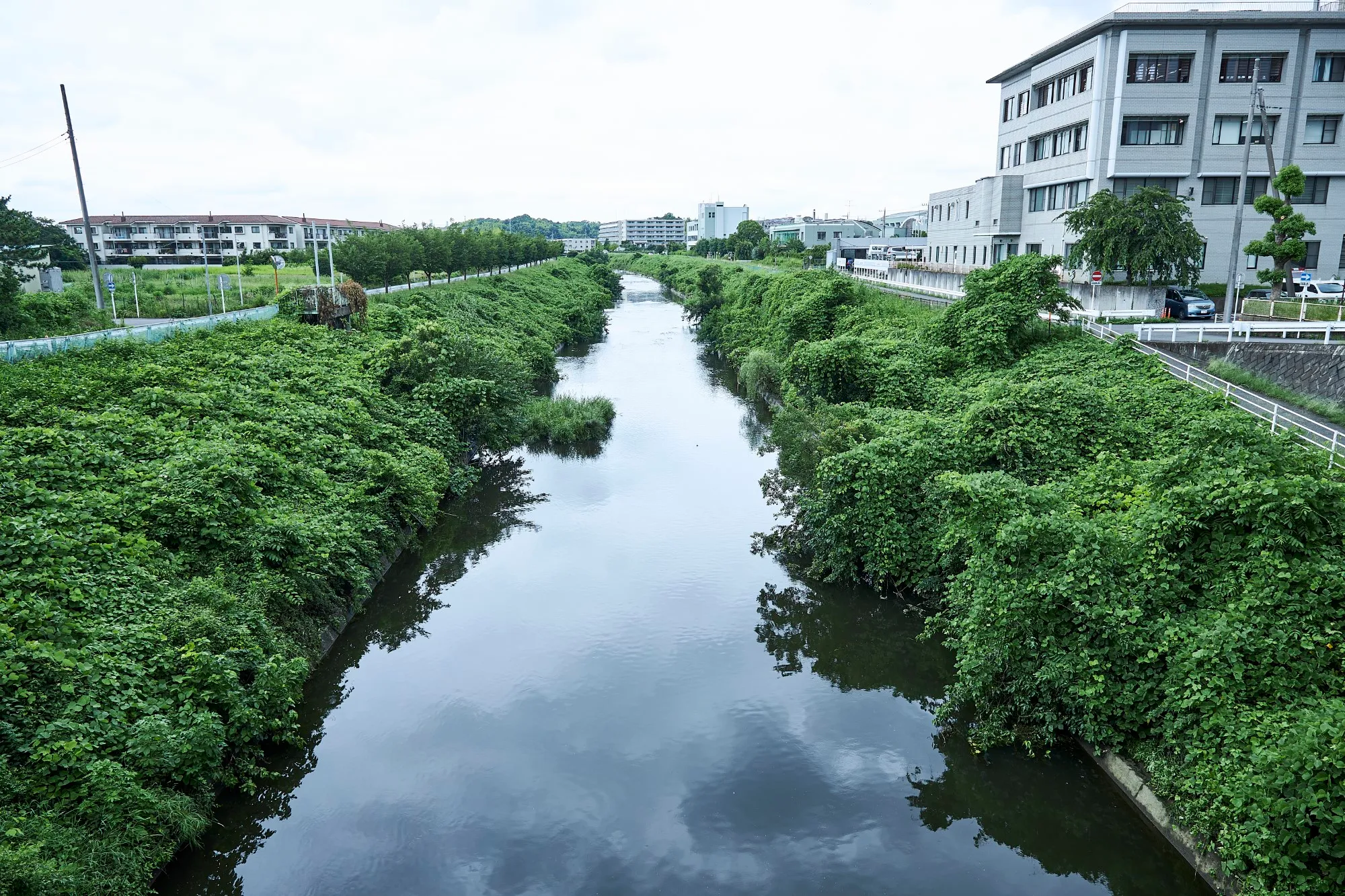 鶴見川