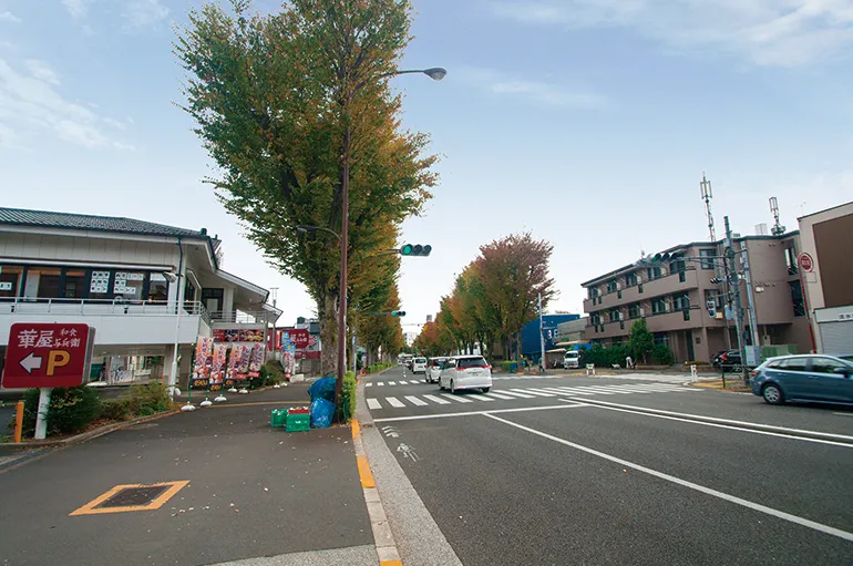 青梅街道