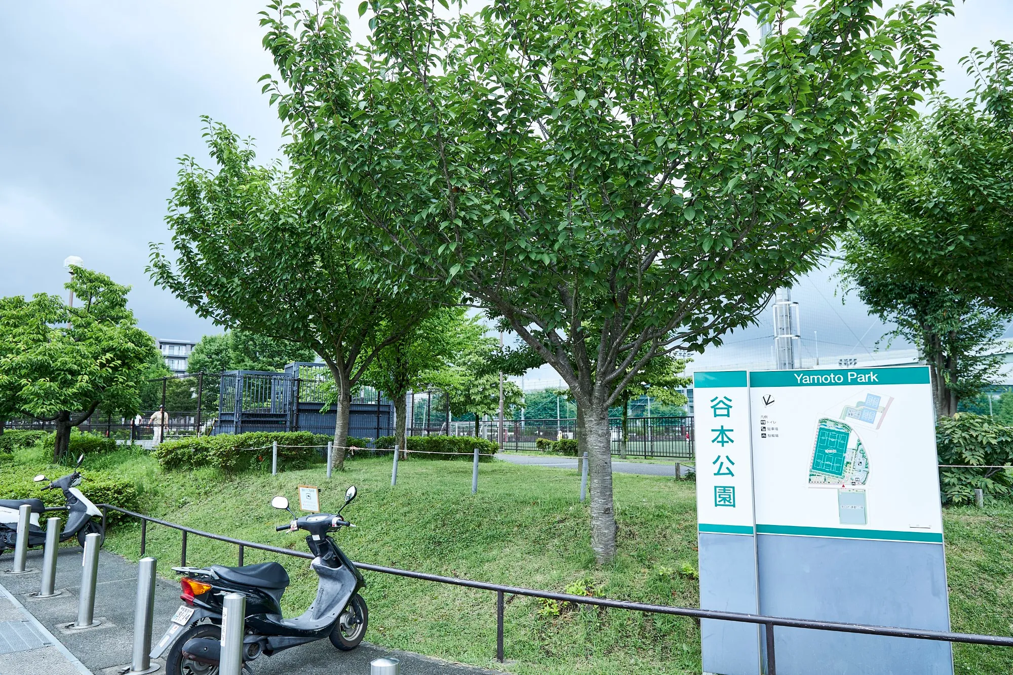 谷本公園