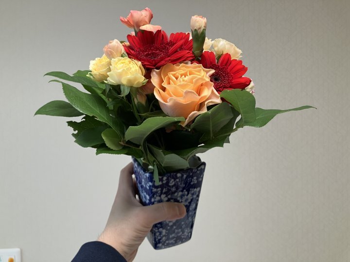 11月の『アクティビティ』と『献立表』のお知らせ