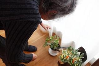 Today's "Life Focus"/お部屋にグリーンの癒しを