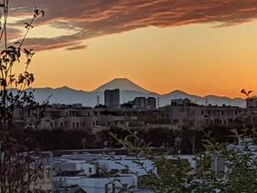 なかよしさんの、夕焼けさんぽ