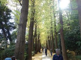 紅葉狩りに行ってきました