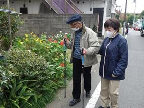 Today's "Life Focus"/「季節を感じるお散歩」