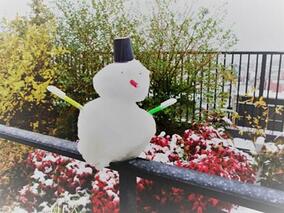 雪