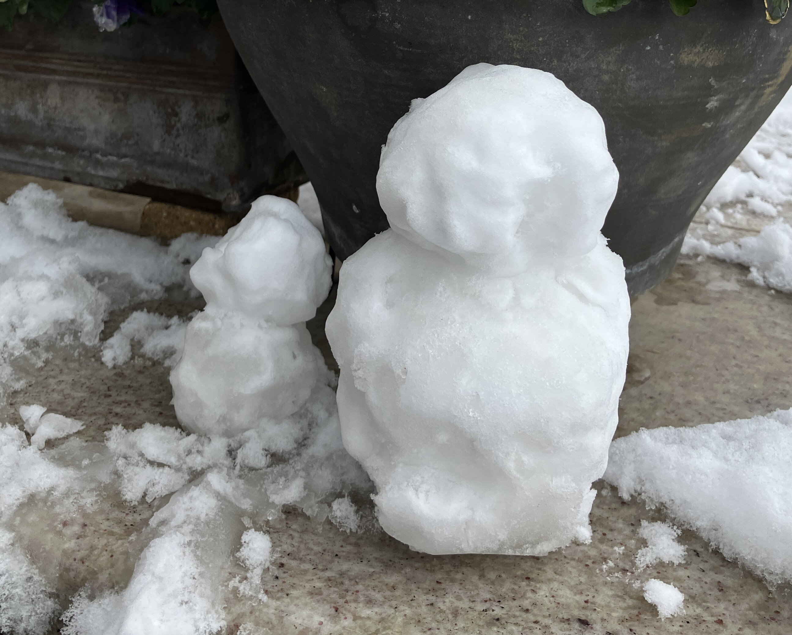 静けさをまとった一日　～窓辺に広がる雪景色～