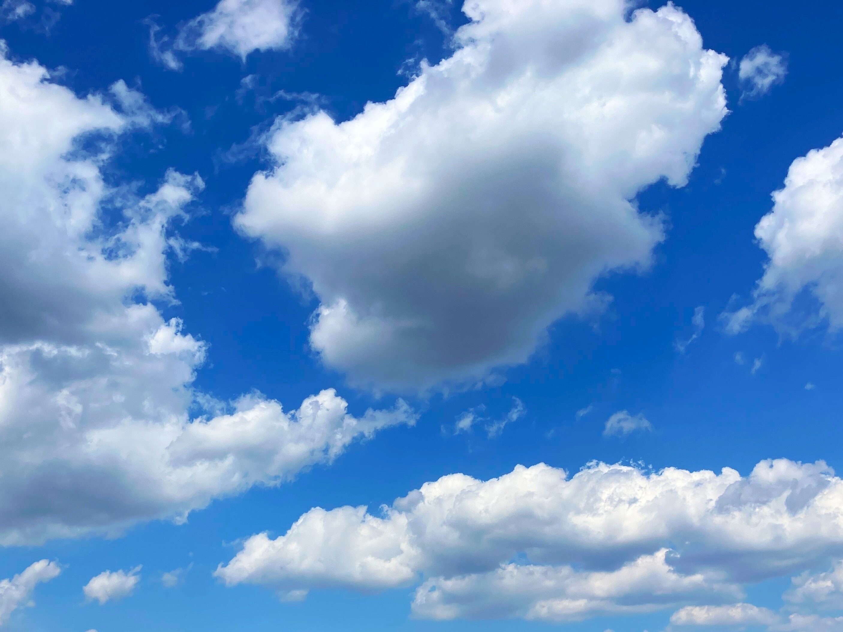 Today's "Life Focus"　〜もう一度、あの青い景色へ〜