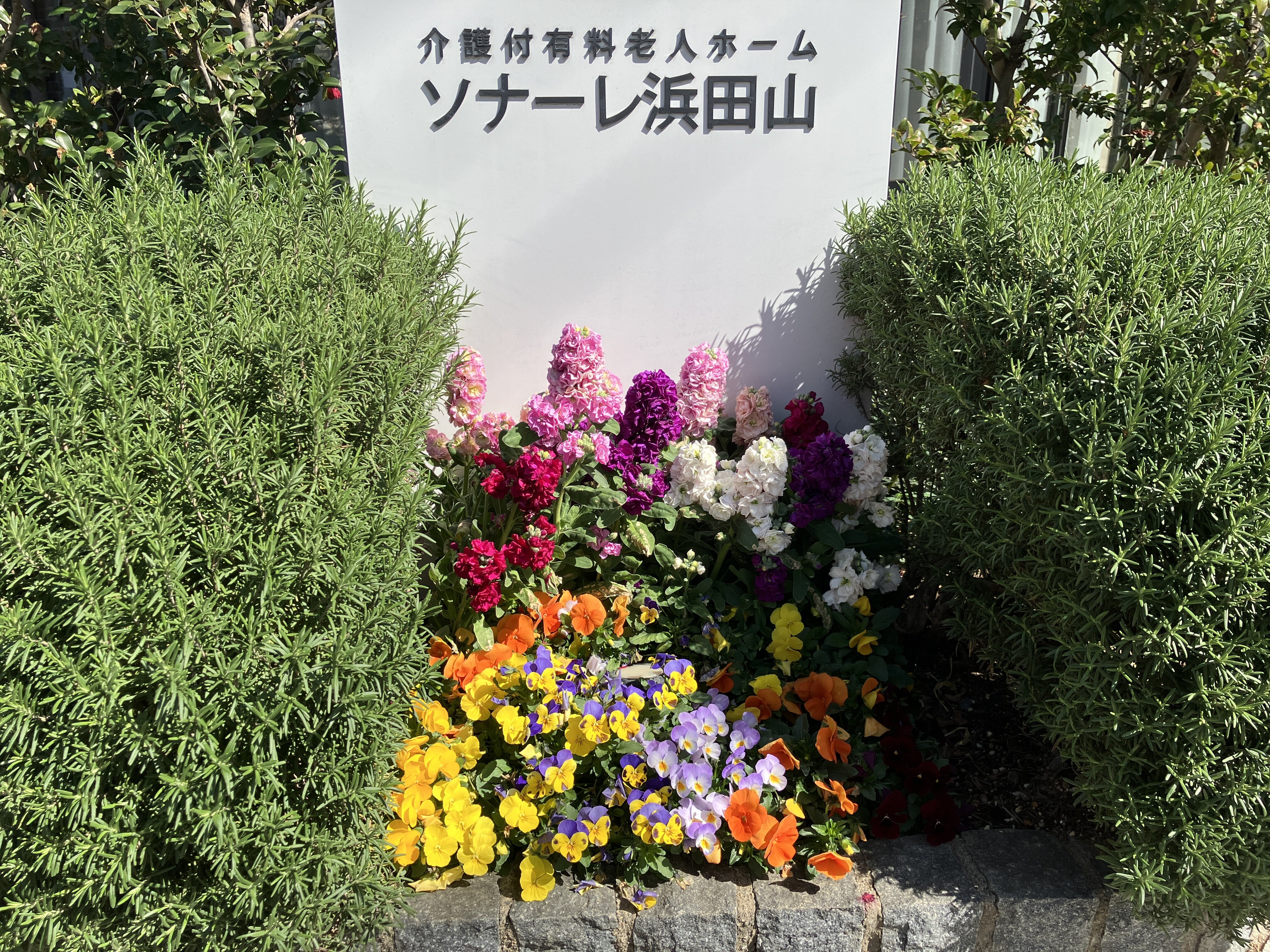 花壇のあるくらし