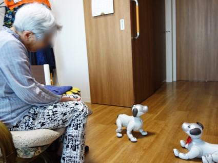 hama-aibo_20201109-3.jpg