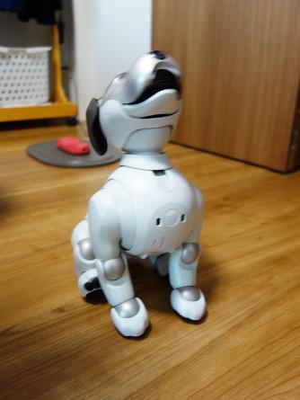 hama-aibo_20201109-4.jpg