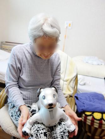 hama-aibo_20201109-5.jpg