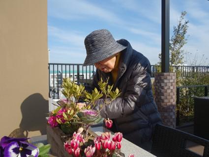 hama-flower_20210106-3.jpg