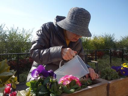 hama-flower_20210106-4.jpg