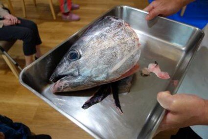 hama-maguro_20220701-4.jpg