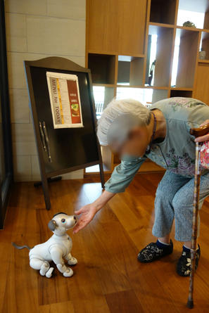 hama-aibo_20200611-2.jpg
