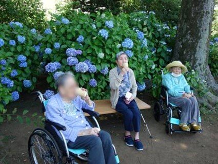 hama-ajisai_20220707-5.jpg