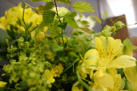 hama-flower_20200701-1.jpg