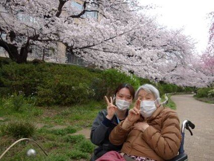 hama-sakura_20220509-3.jpg