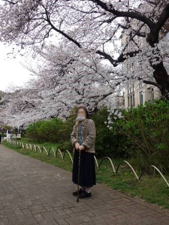 hama-sakura_20220509-4.jpg