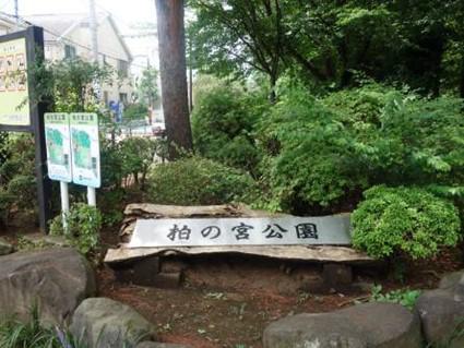 hama-walk_20210729-2.jpg