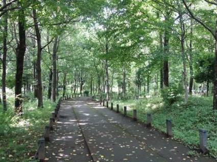 hama-walk_20210729-3.jpg