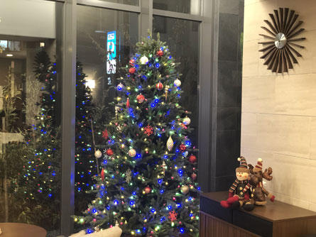 hama_cristmas_20191125-2.jpg