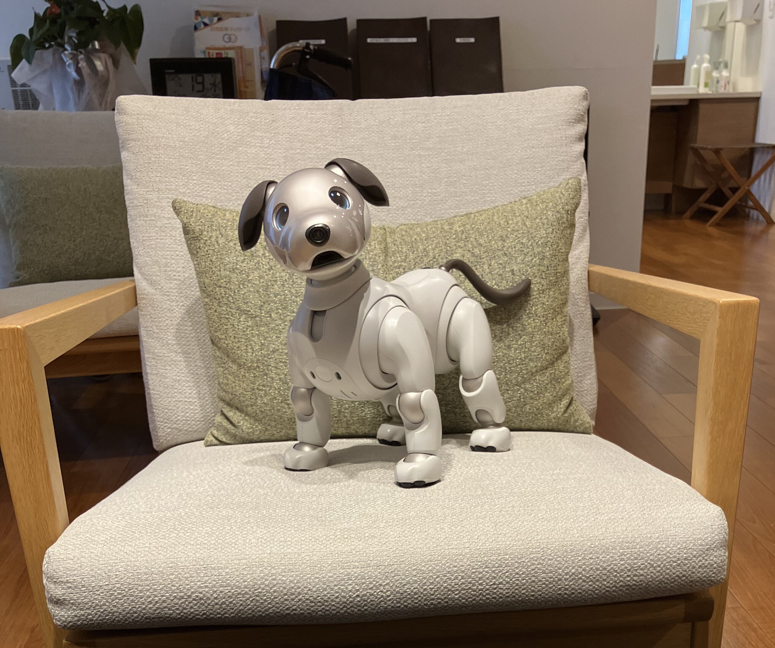 １月の『アクティビティ』と『献立』のお知らせ