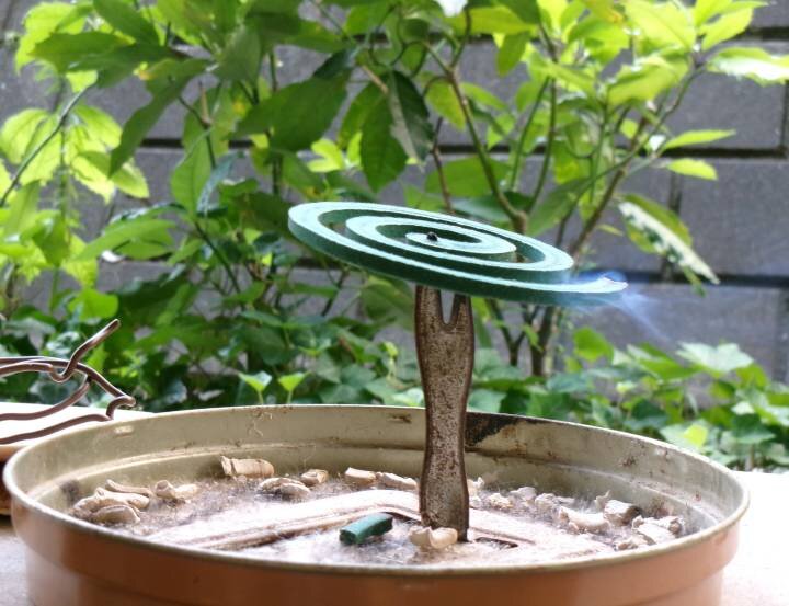夏の思い出を振り返って