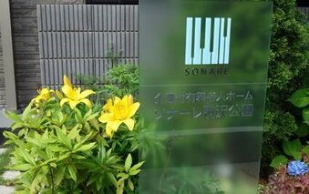 ホーム敷地内の花々が見ごろです