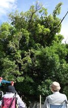 "Life Focus"をかたちにする取り組み～ゆかりの地を訪ねて～