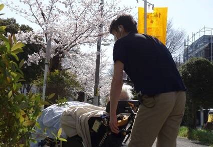 koma-cherry_20220411-3.jpg