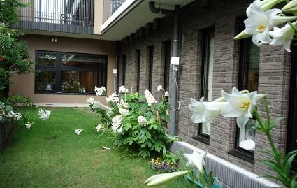 koma-flower_20220609-2.jpg