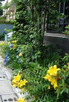 koma-flower_20220609-3.jpg