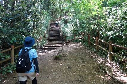 koma-mountain_20220621-3.jpg