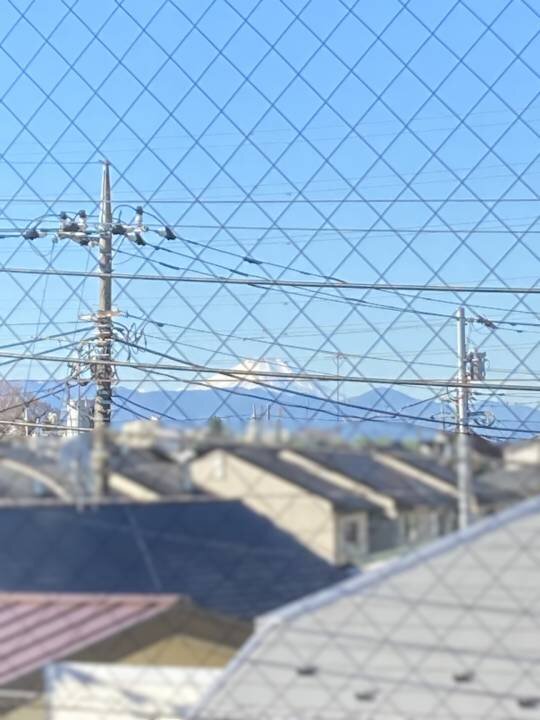 冬の窓辺に集うひととき