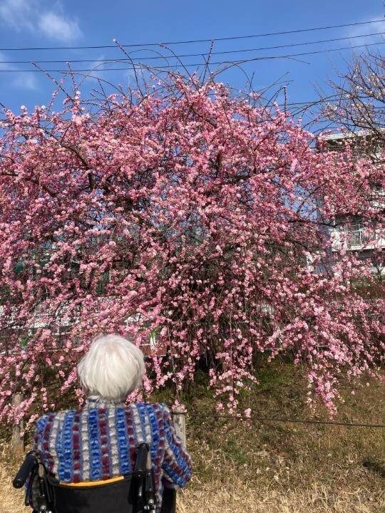 梅の香りに誘われて　～五感で味わう春のひととき～