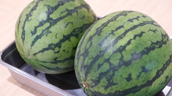 夏の風物詩！「スイカ割り」