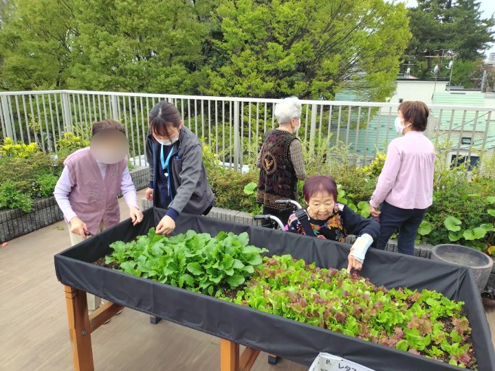 屋上ガーデンテラスからのたより vol.2