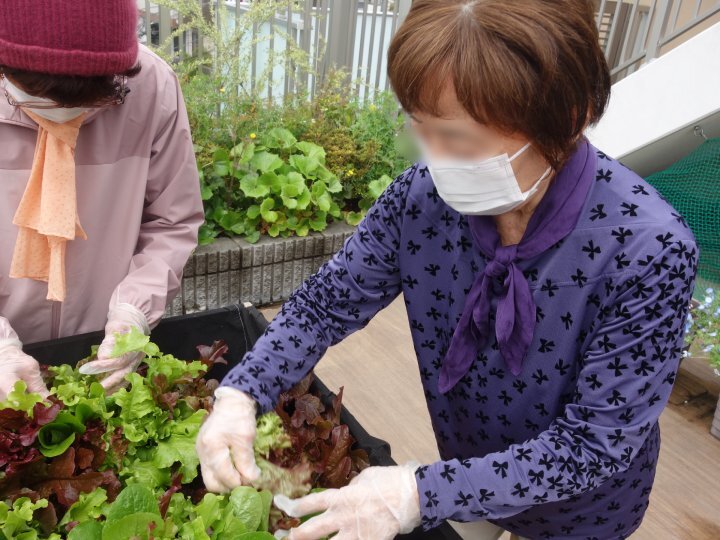小さな芽がつなぐ、ガーデニングの輪 ep.3