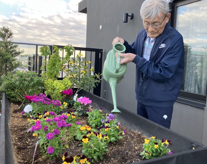 空に近い庭から、やさしい花のたより