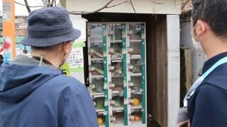 『春の訪れ』～お散歩編～PartⅡ～